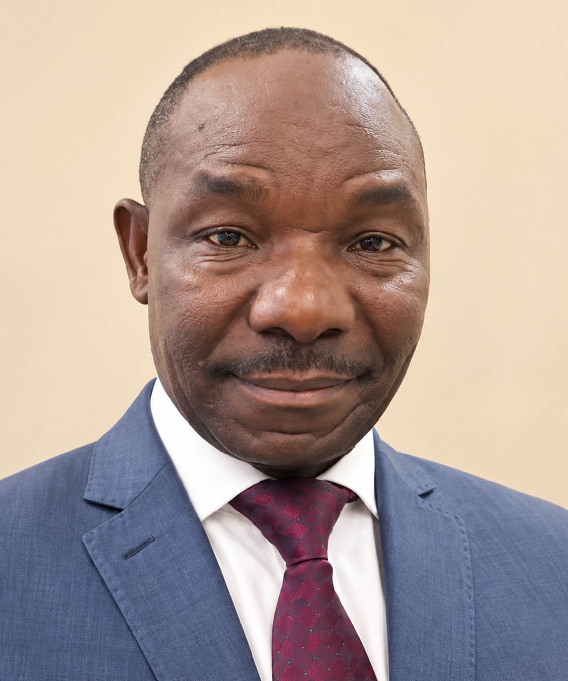 Prof. Modest Mulenga